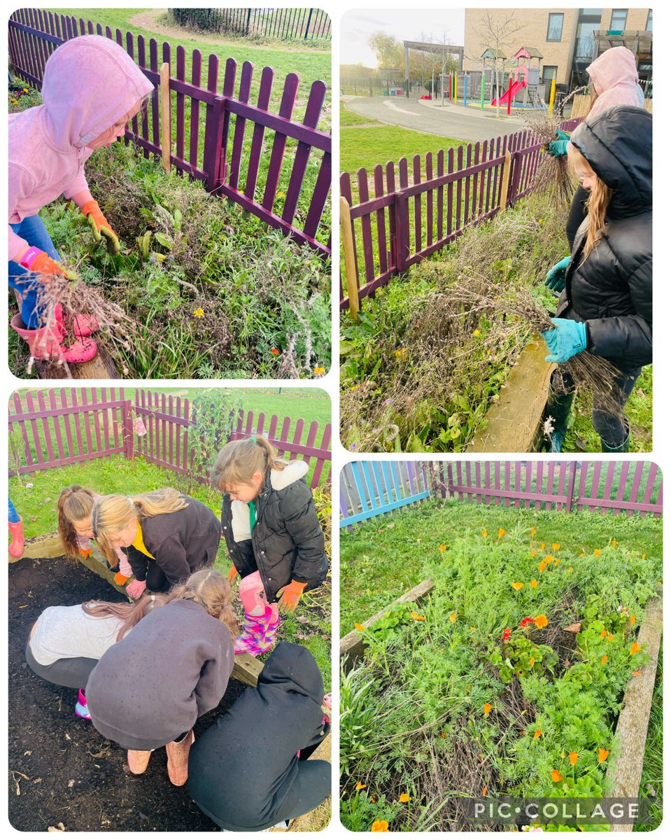 Abbie Underwood tweet media