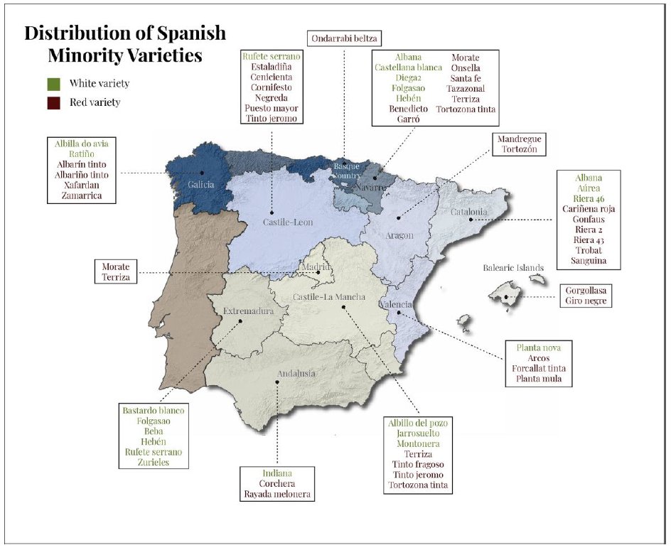 santicsic's tweet photo. 🍇Phenological Study of 53 Spanish Minority Grape Varieties to Search for Adaptation of Vitiviniculture to Climate Change Conditions. https://t.co/sB9ZKLJN4S @Horticul_MDPI #VIOR @mbg_csic @midra_i @IfapaJunta @incavicat @irtacat @CICYTEX #EVEGA #EVENA Proyecto #MINORVIN https://t.co/3F6Q0KXWOx