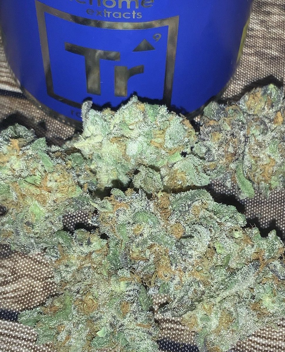 EmeliaHarry's tweet photo. ZtruffleZ Trichome Raw Flower💨💚💚💚 Dm for price https://t.co/qUofB04iob