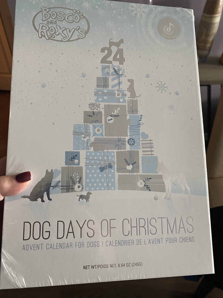 My dog’s Advent calendar arrived. I can’t wait until he gets home from his piano lesson so I can show him.