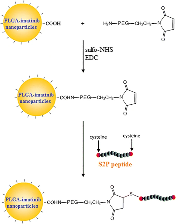 BroadPharm's tweet photo. Scientists used a maleimide-PEG linker to conjugate a drug to a peptide. The maleimide end reacted with cysteine residues, binding the peptide to a PEG linker loaded with the imatinib drug

Check out our supply of PEG linkers today: https://t.co/nqNp9kTrOg

#biochemistry #biotech https://t.co/BSn1pRuKvG