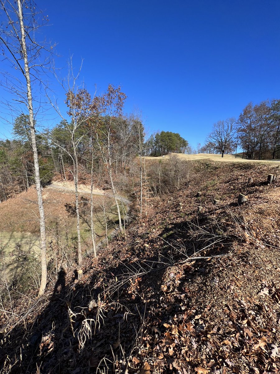 Tree cutting continues as we try to help our worst green get more sun/airflow.