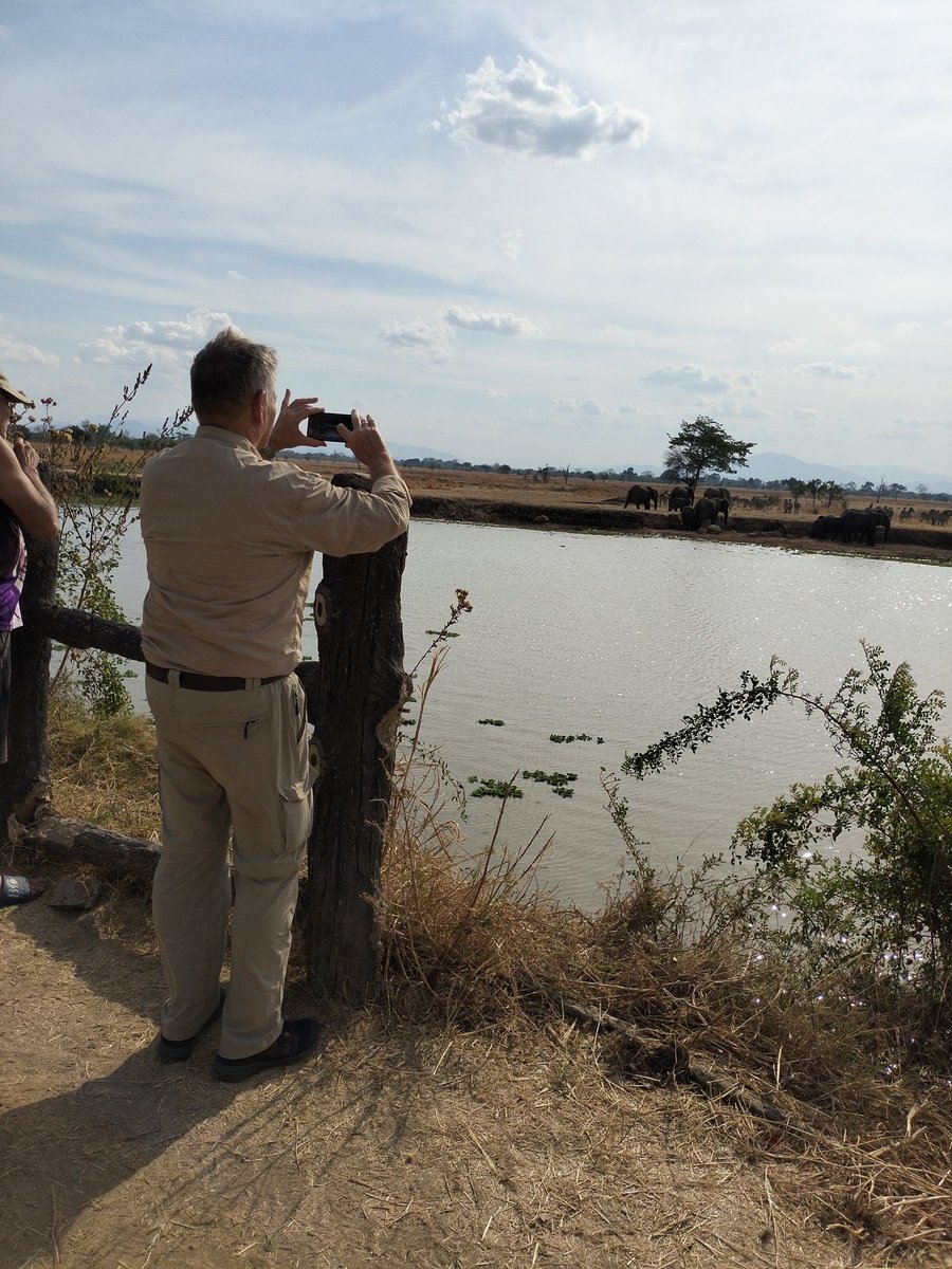 An #African safari has always been a bucket list item for many people.
But what if I told you that an African safari doesn't have to take place on the other side of the world?

#TanzaniaIkoTayari offers its own variety of animals and scenery which will satisfy any #adventurer!