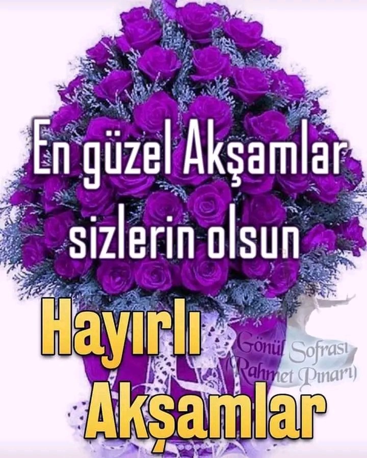 Emre Ve Selda Cifti (@seldacifti) on Twitter photo 