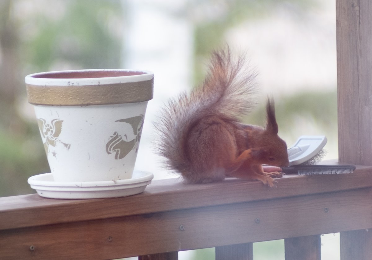 #NaturePhotography #fujifilm_xseries