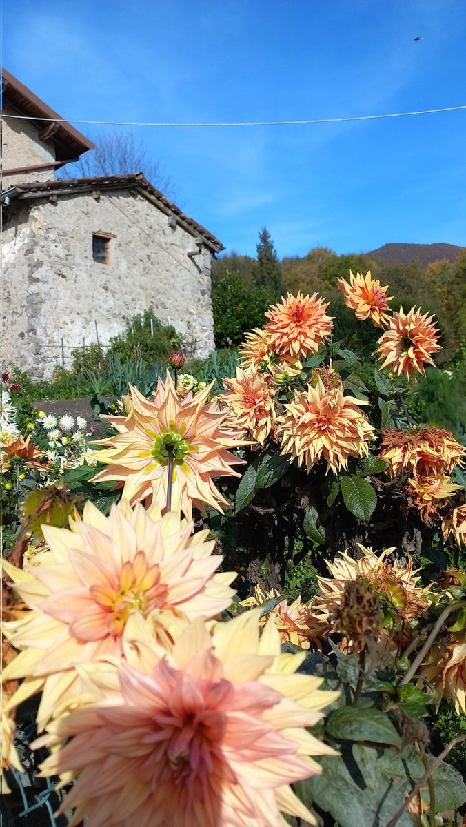 É inverno o primavera? Non lo sappiamo,
siamo e non siamo niente, nella molteplicità delle apparenze, peró dentro la vita, dentro
il meraviglioso istante. 

Mario Luzi 

<a href="/SalaLettura/">©️ Il Caffè Letterario</a>
#conLuzi