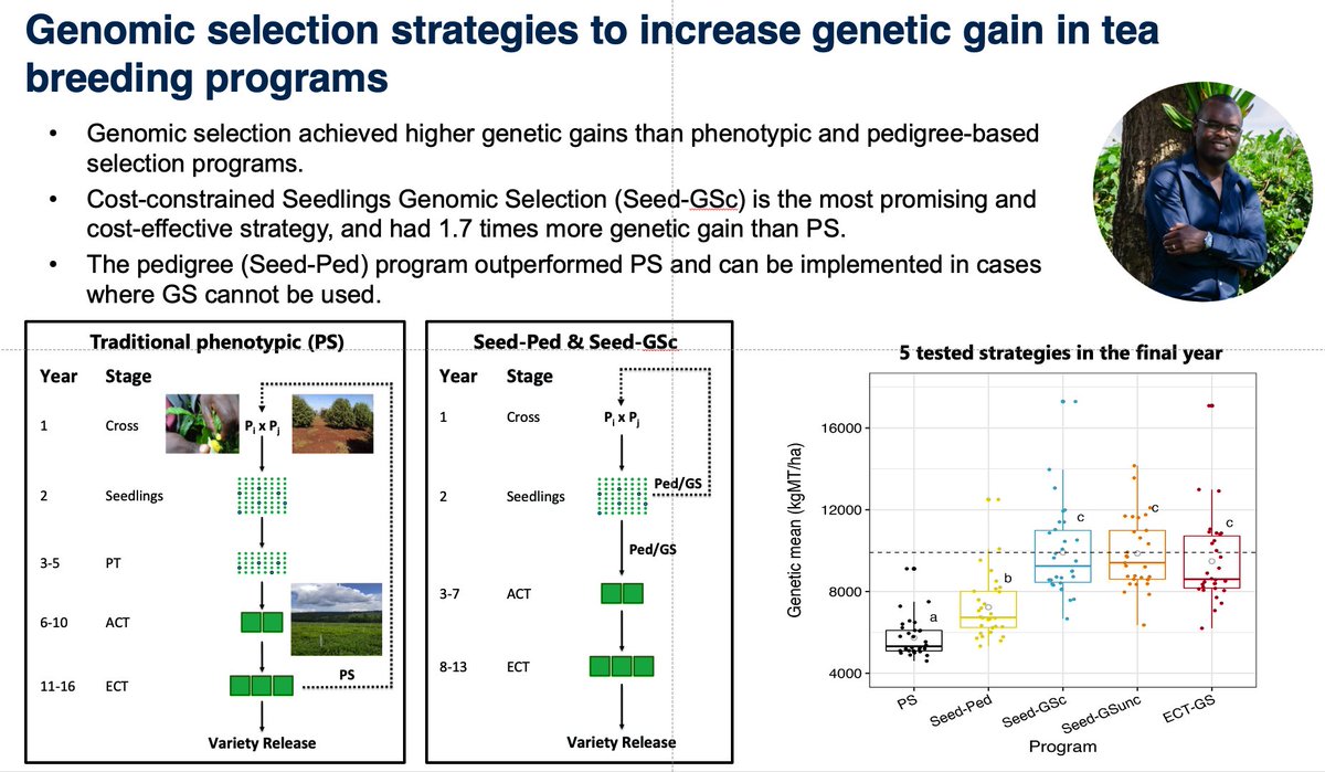 HighlanderLab (@highlanderlab) on Twitter photo New paper: Genomic selection strategies to increase genetic gain in tea breeding programs. Led by <a href="/NelsonLubanga1/">Nelson Lubanga</a> and <a href="/JonBancic/">Jon Bančič</a> in collaboration with <a href="/festounmc/">Festo Massawe</a> and Sean Mayes. Acknowledging support from <a href="/DataCapitalEd/">DDI</a> <a href="/roslininstitute/">The Roslin Institute</a> <a href="/TheDickVet/">The Royal (Dick) School of Veterinary Studies</a> <a href="/EdinburghUni/">The University of Edinburgh</a> <a href="/TRAINatEd_MSCA/">TRAIN@Ed MSCA COFUND project</a> New paper: Genomic selection strategies to increase genetic gain in tea breeding programs. Led by <a href="/NelsonLubanga1/">Nelson Lubanga</a> and <a href="/JonBancic/">Jon Bančič</a> in collaboration with <a href="/festounmc/">Festo Massawe</a> and Sean Mayes. Acknowledging support from <a href="/DataCapitalEd/">DDI</a> <a href="/roslininstitute/">The Roslin Institute</a> <a href="/TheDickVet/">The Royal (Dick) School of Veterinary Studies</a> <a href="/EdinburghUni/">The University of Edinburgh</a> <a href="/TRAINatEd_MSCA/">TRAIN@Ed MSCA COFUND project</a>