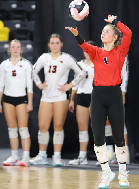 Tyler Lown tweet media