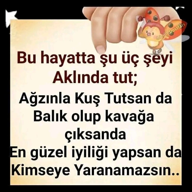 Emre Ve Selda Cifti (@seldacifti) on Twitter photo 