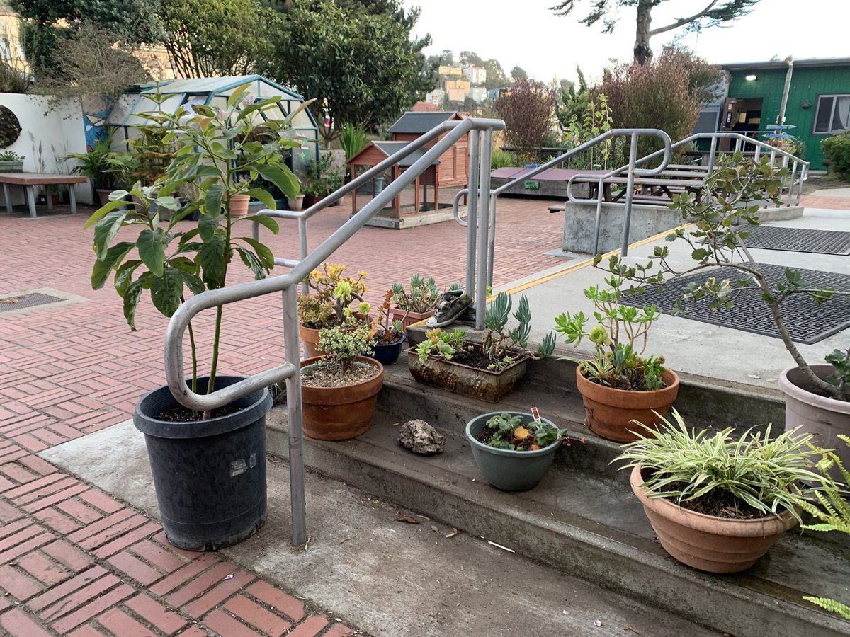 West Portal Elementary Garden tweet media