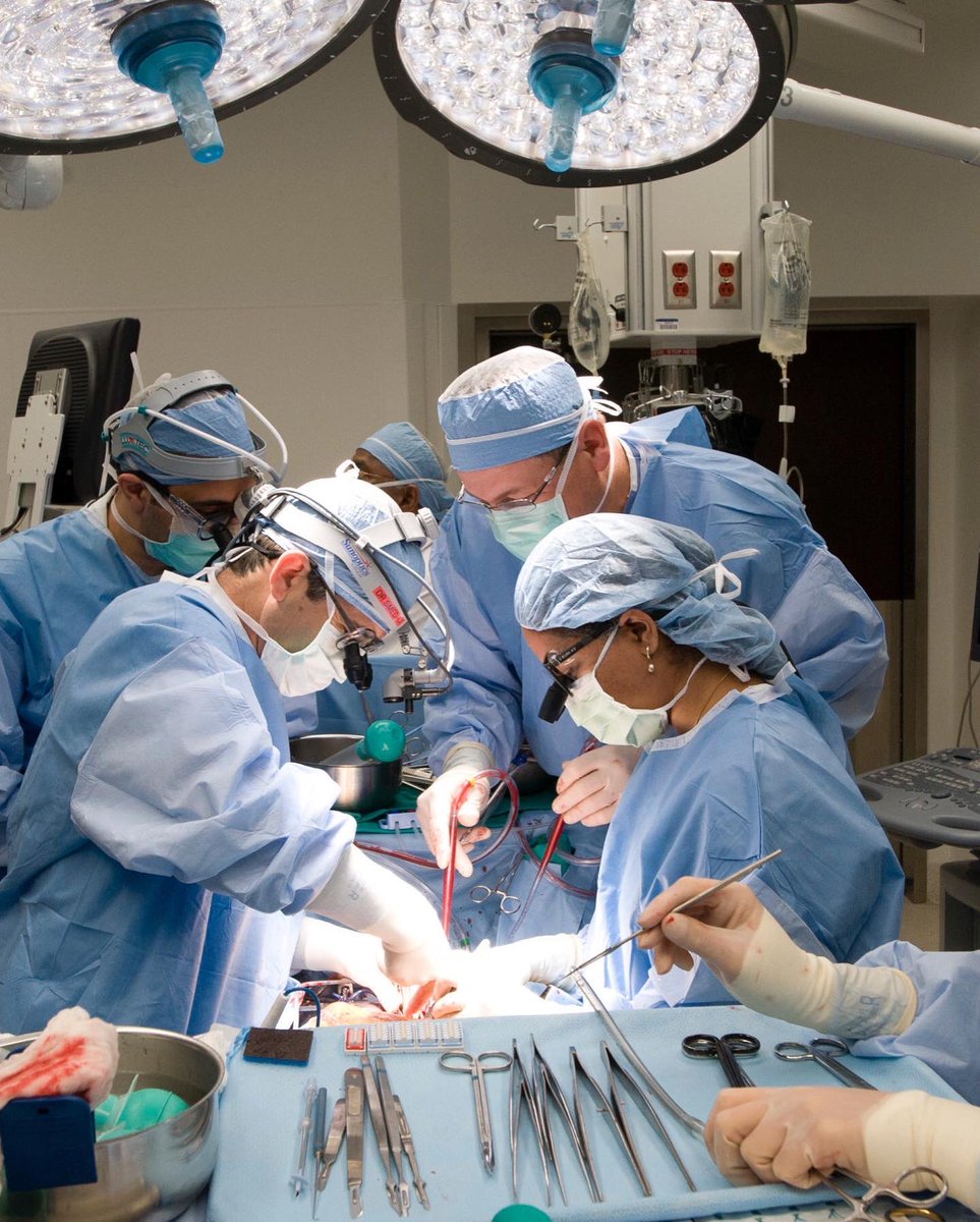 CleClinicCHPE's tweet photo. Happy National Allied Health Professions Week!
Visit the link in bio to for a full list of academic institutions Cleveland Clinic is affiliated with.
#healthprofessions #cle #clevelandclinic #nationalalliedhealthprofessionsweek #education #students #training #clinicals https://t.co/ni7L801N9b