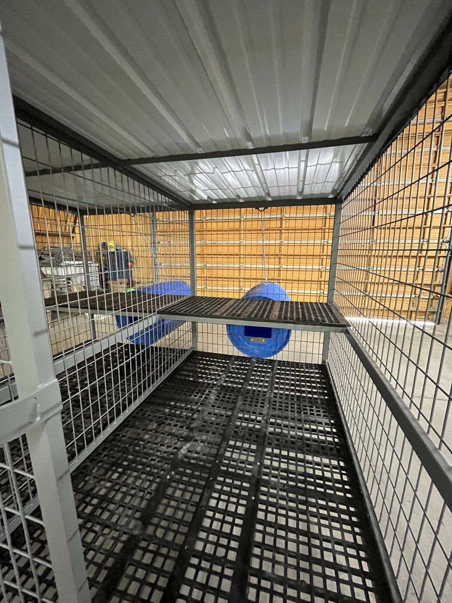 therealEEfab's tweet photo. Info in the comments!

#gundogs #workingdogs #stockdogs #hounds #malinois #bordercollies #mcnabs #catahoula #elevatedkennels #customkennels #doghouse  #dogpen #kennel #madeinamerica #smallbusiness #welding #whelpingkennels #outdoorkennels  #thepridedogfood #dogfood https://t.co/HQwEcZsMld