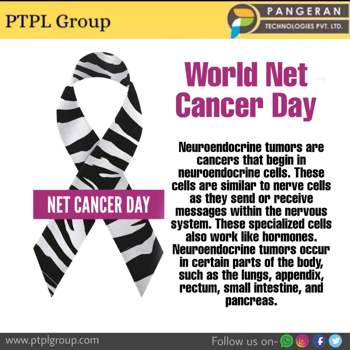 PangeranLtd's tweet photo. ✨✨ Pangeran Technologies wishes you World NET Cancer Day ✨✨
#pangerantechnologies #itserviceproviderinnagpur #bestitserviceprovider #itserviceproviderindhantoli #dayoftheyear #worldnetcancerday #pancreas #abdomen #bowel #lungs #neuroendocrine #itservices #itsupport #techno https://t.co/hWFgtVycsV