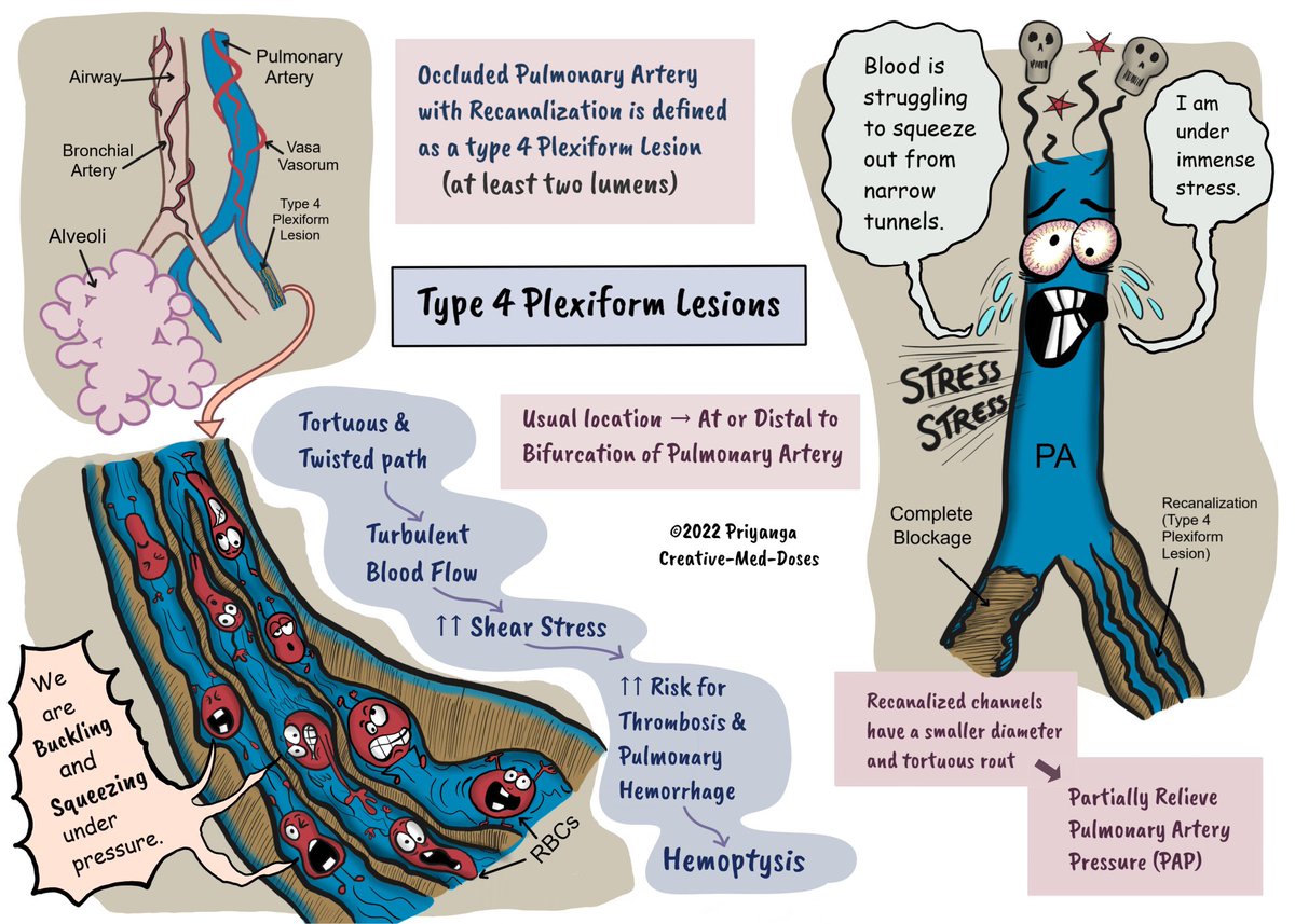 Top Biomedical Science tweet media