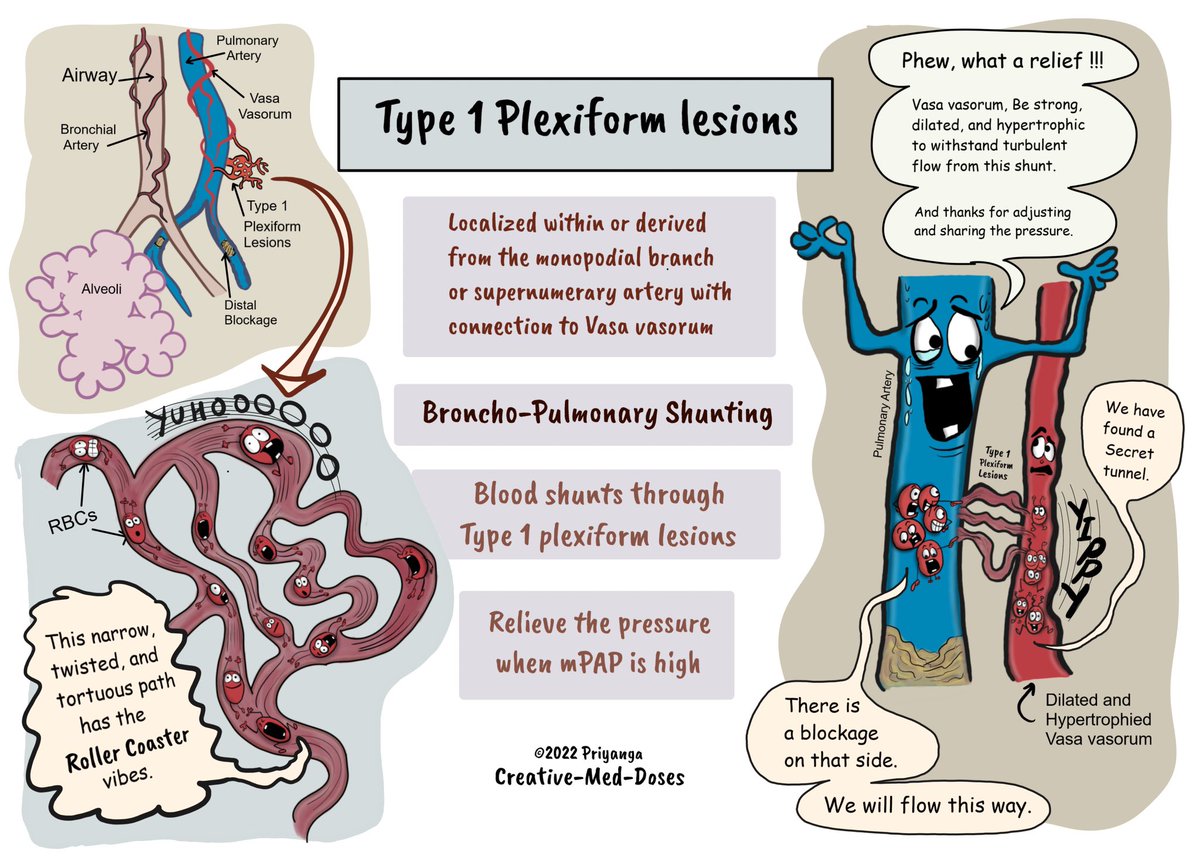 Top Biomedical Science tweet media
