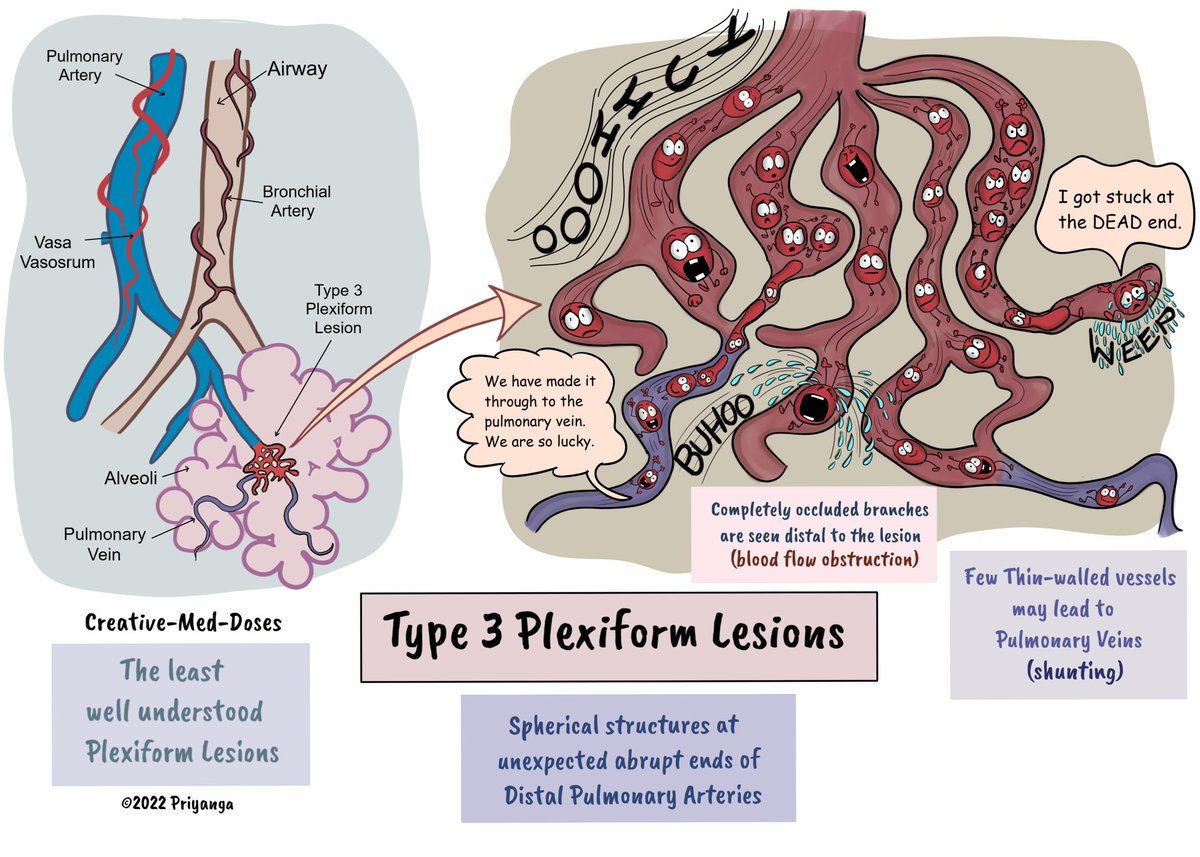 Top Biomedical Science tweet media
