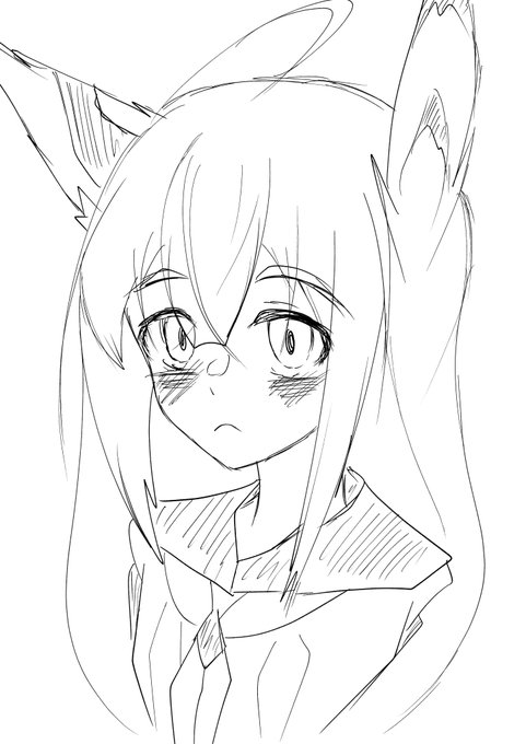 (⌒v⌒)おはようございます 