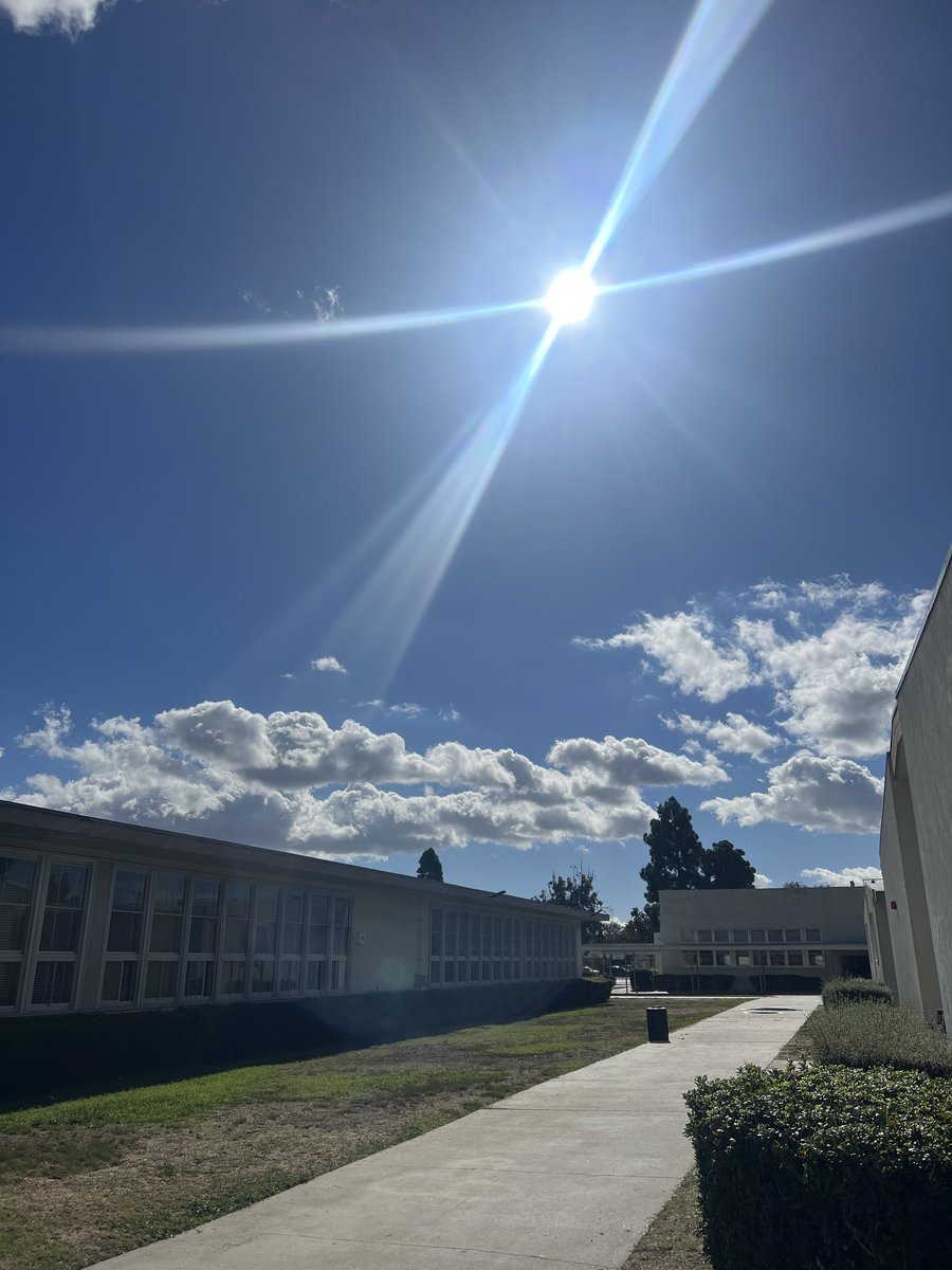 Marie Hatwan tweet media