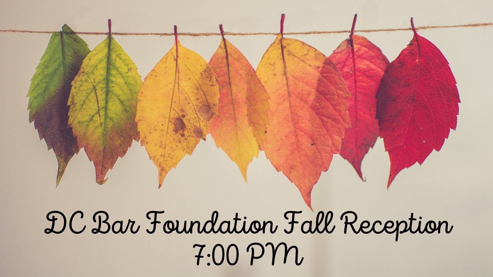 DC Bar Foundation on Twitter "The DC Bar Foundation is live streaming