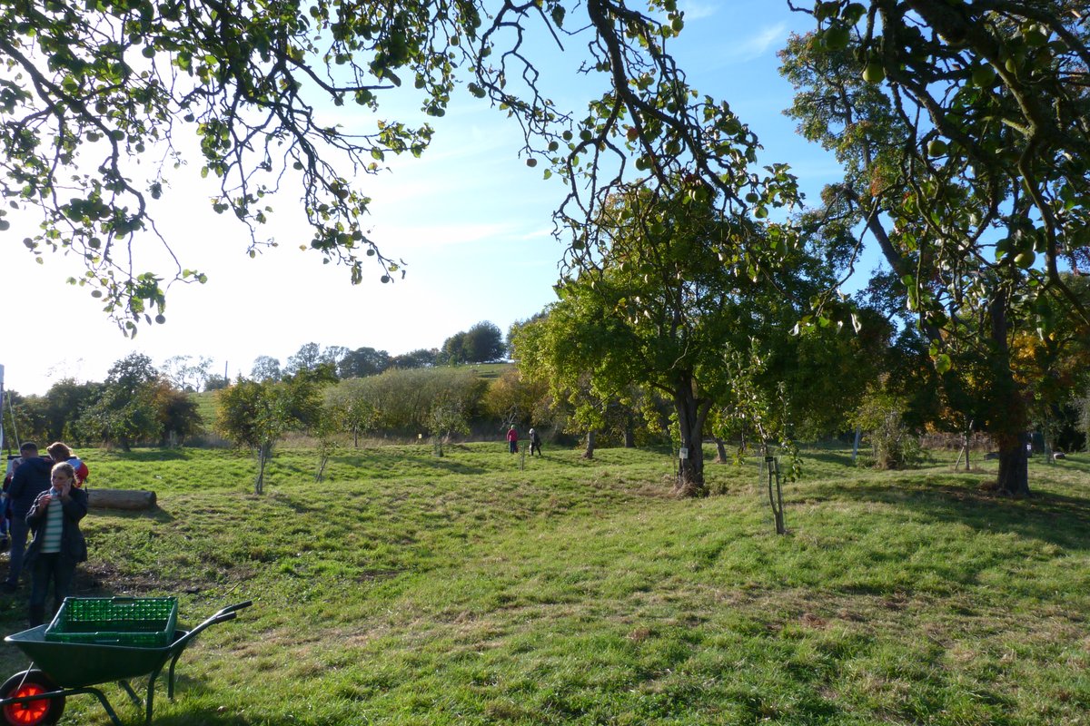 Following nearly a decade of campaigning the Chipping Campden Society has successfully saved Wold's End Orchard from being developed into a car park. PTES contributed a much-quoted statement &amp; our Orchards Biodiversity officer Steve joined a celebratory apple day! 🎉<a href="/CampdenSoc/">The Campden Society</a>