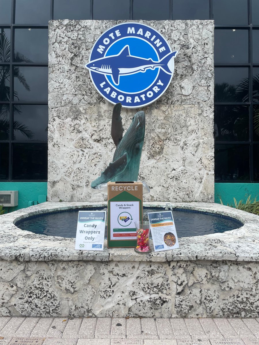 MoteMarineLab's tweet photo. This year, Mote is participating in Unwrap the Waves, an initiative spearheaded by the @LoggerheadMC to collect otherwise non-recyclable ♻️ candy wrappers 🍬🍫 from Halloween!
Check out the progress we've made❕
#motemarinelab #loggerheadmarinelifecenter #unwrapthewaves #candy https://t.co/hz7xiv9rQR