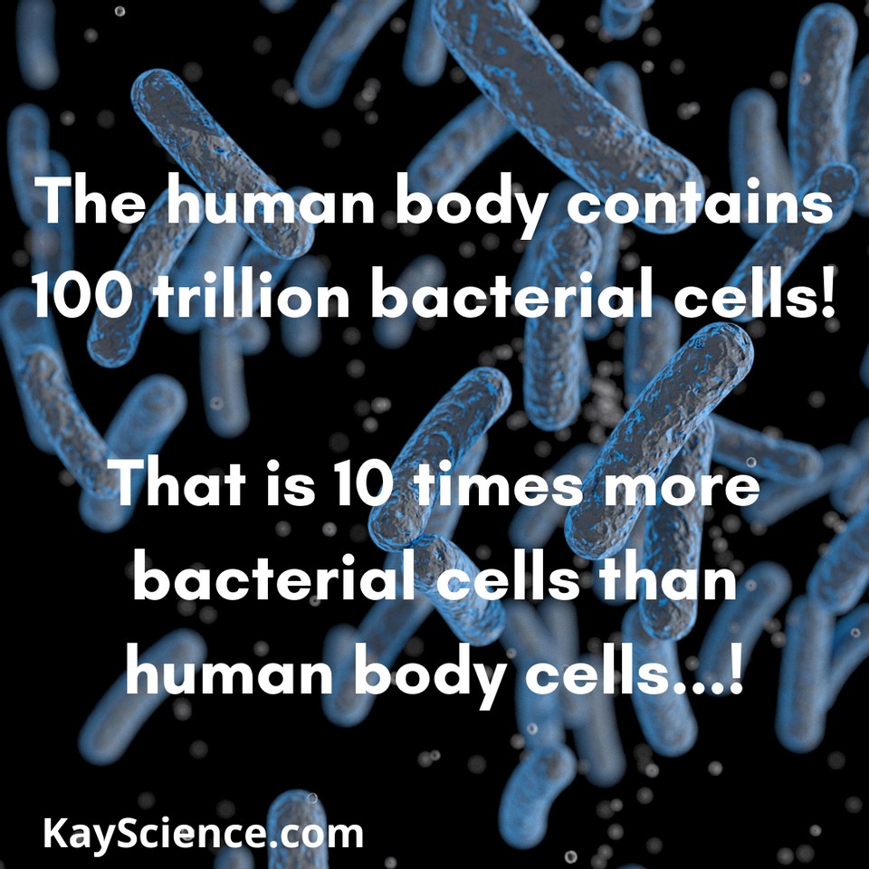 KayScience.com tweet media