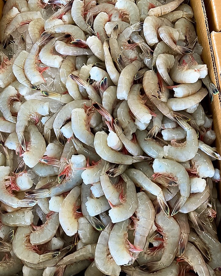 SamRustSeafood's tweet image. It’s a fresh 21/25 South Carolina kind of day 😎 Call or email today to secure! 🦐🦐🦐🦐

#samrustseafood #freshseafood #seafoodie #seafoodlover #wholesaleseafood #virginia #freshshrimp