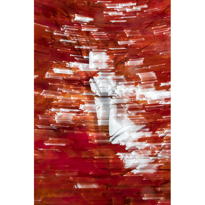 Matthew J. Kirsch Photography tweet media