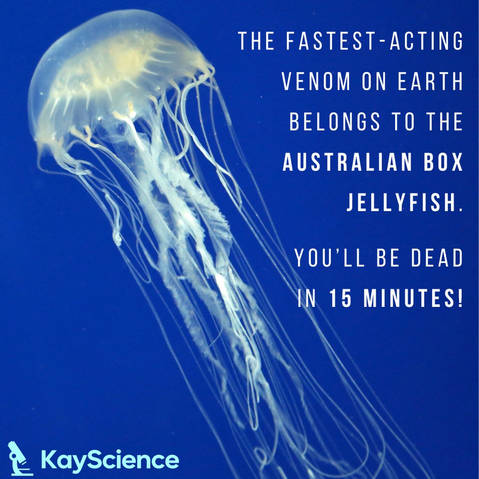 KayScience.com tweet media