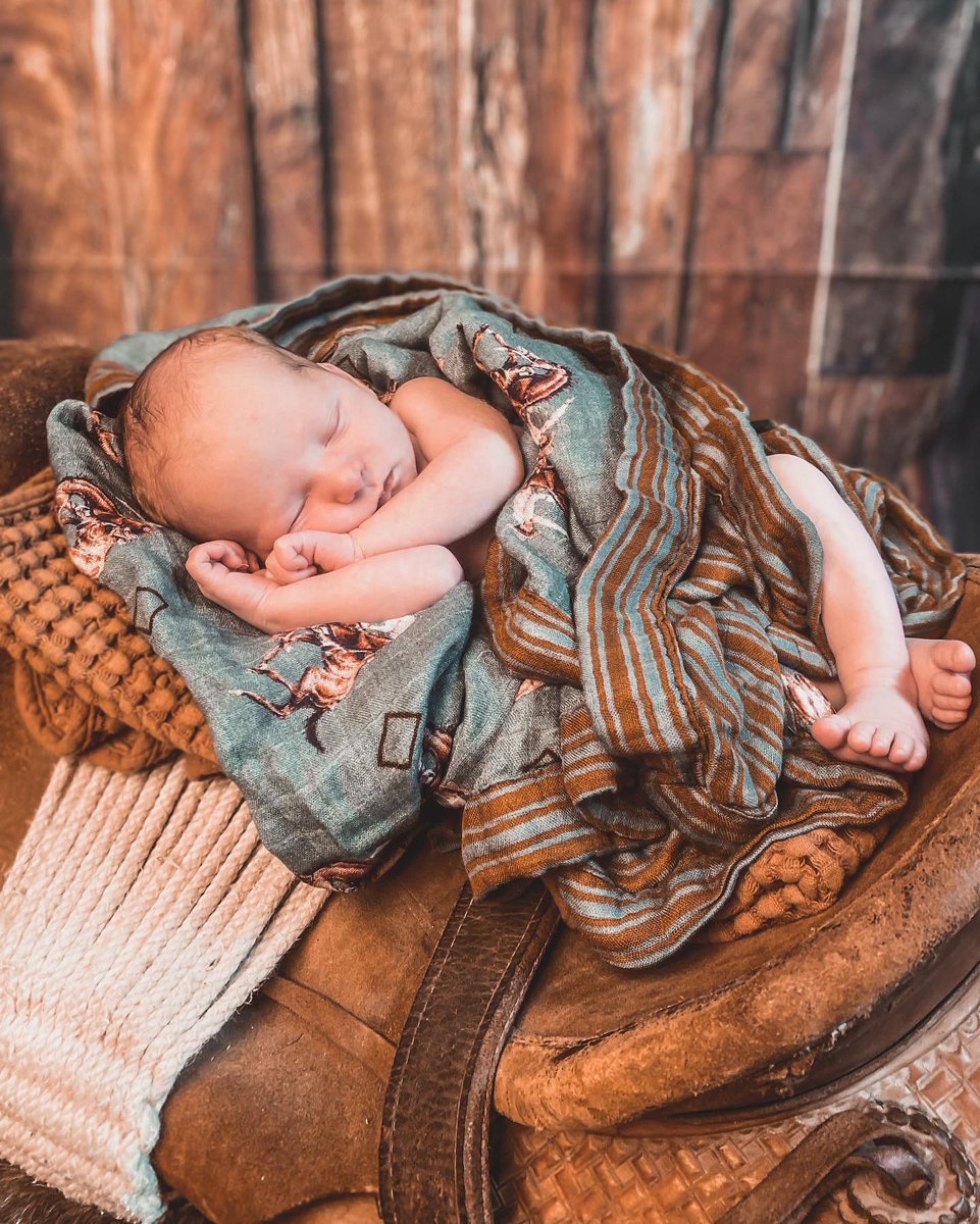 Harley Shackelford tweet media