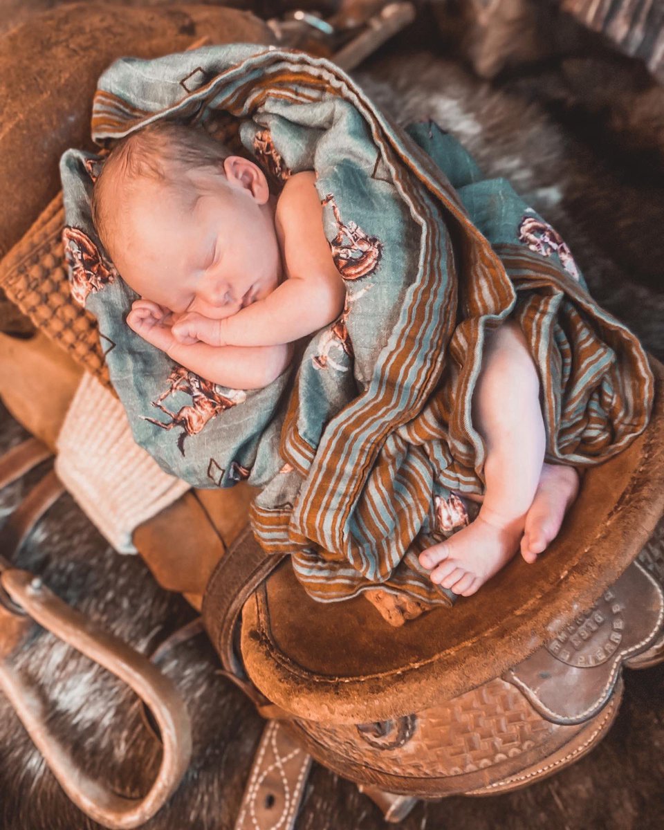 Harley Shackelford tweet media