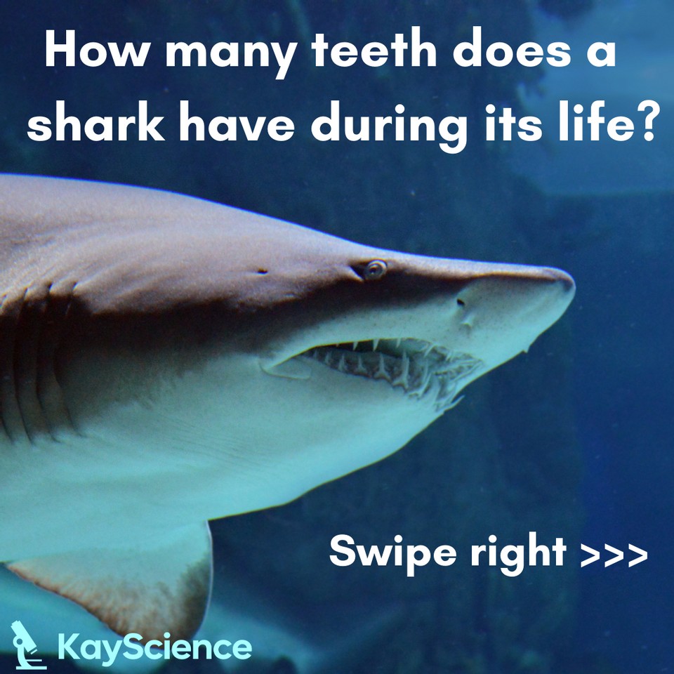 KayScience.com tweet media