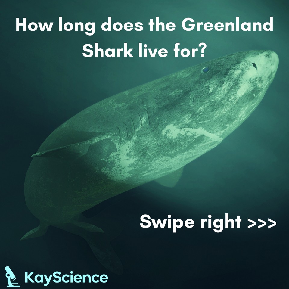 KayScience.com tweet media