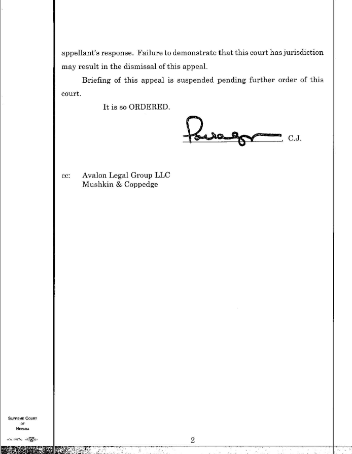 GeorgeASharp's tweet photo. The Nevada Supreme Court suggests that Calasse has no status to appeal the ruling cancelling his $WNFT shares, as he was not a party in the underlying custodianship case. It is a logical approach by the NVSC, who provides Calasse 14 days to show why the court's position is wrong. https://t.co/YWLNNhG6O9