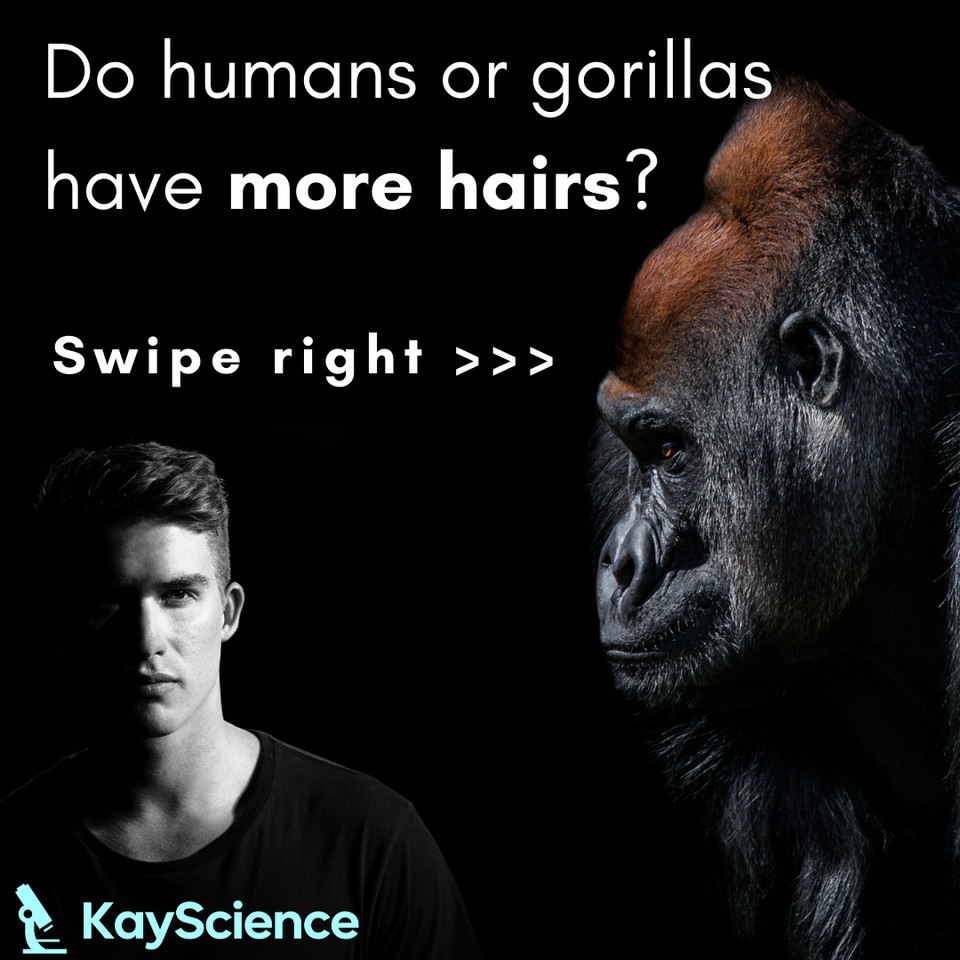 KayScience.com tweet media