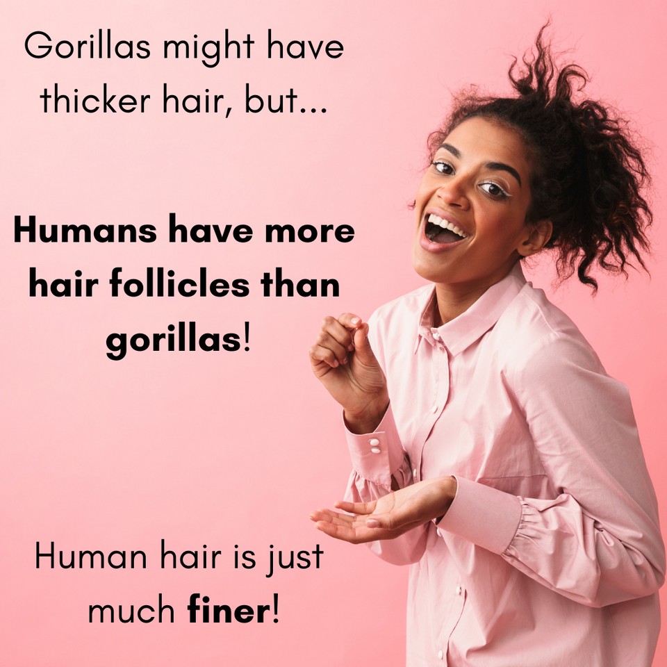 KayScience.com tweet media