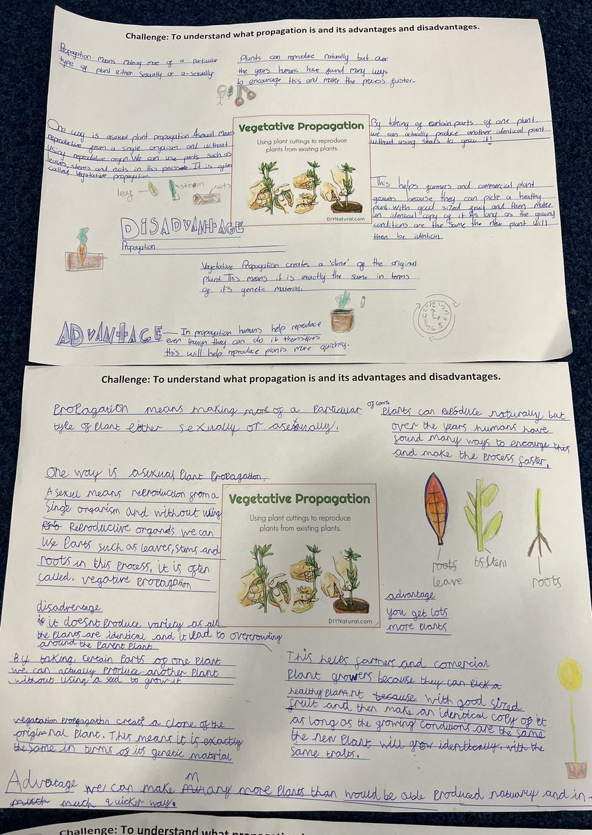 Mrs Richardson tweet media