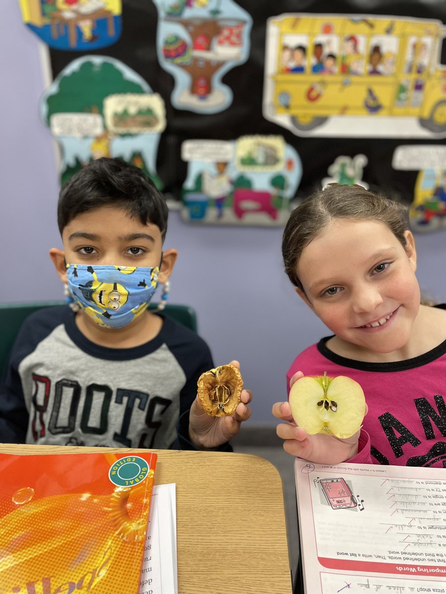 KinderKollegePS's tweet image. Today in Science, we discussed the concept of “dehydration”! We observed that the apples shrivelled up and the scent was “concentrated”! #applescience #apples #applefun