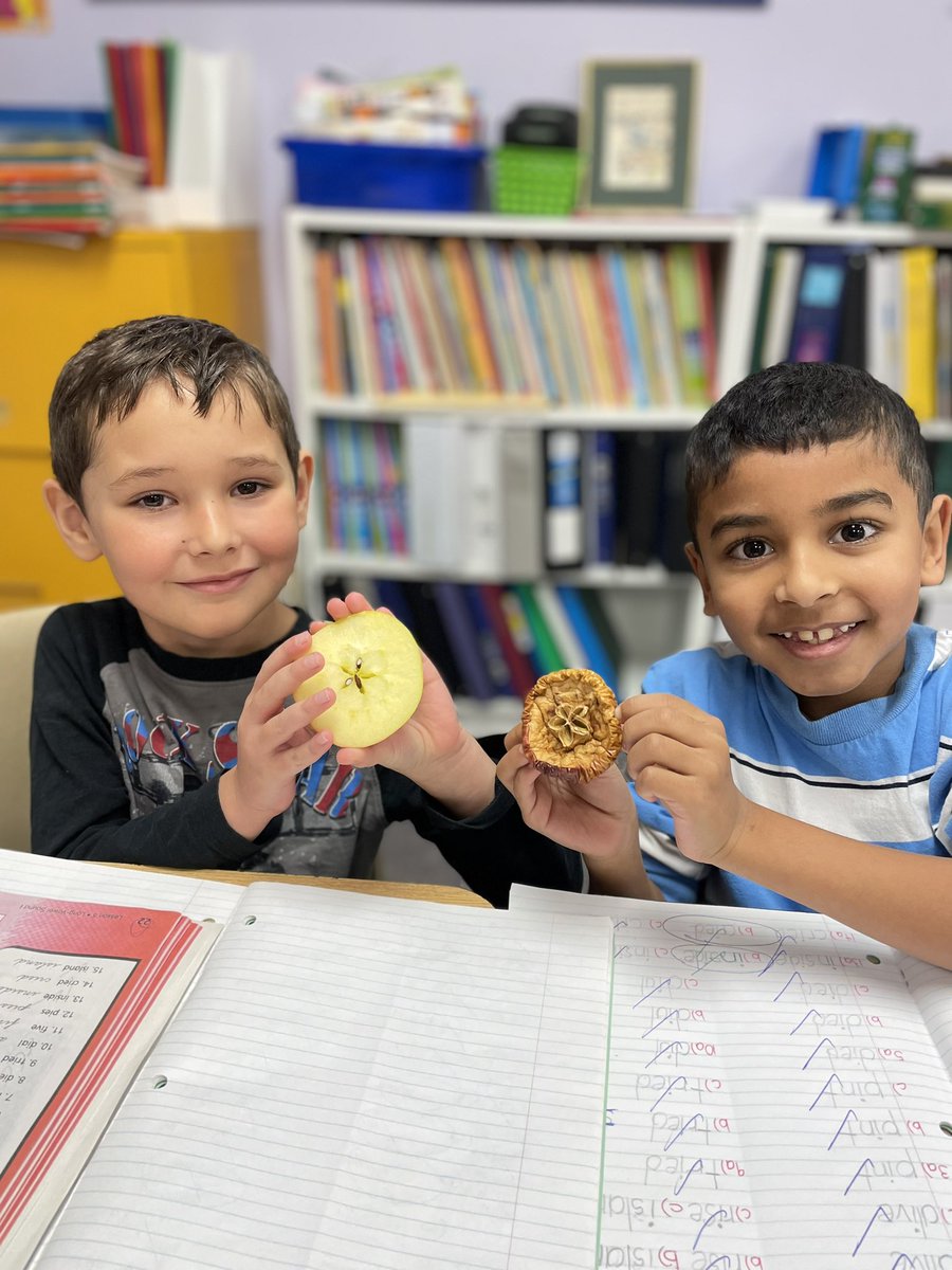 KinderKollegePS's tweet image. Today in Science, we discussed the concept of “dehydration”! We observed that the apples shrivelled up and the scent was “concentrated”! #applescience #apples #applefun