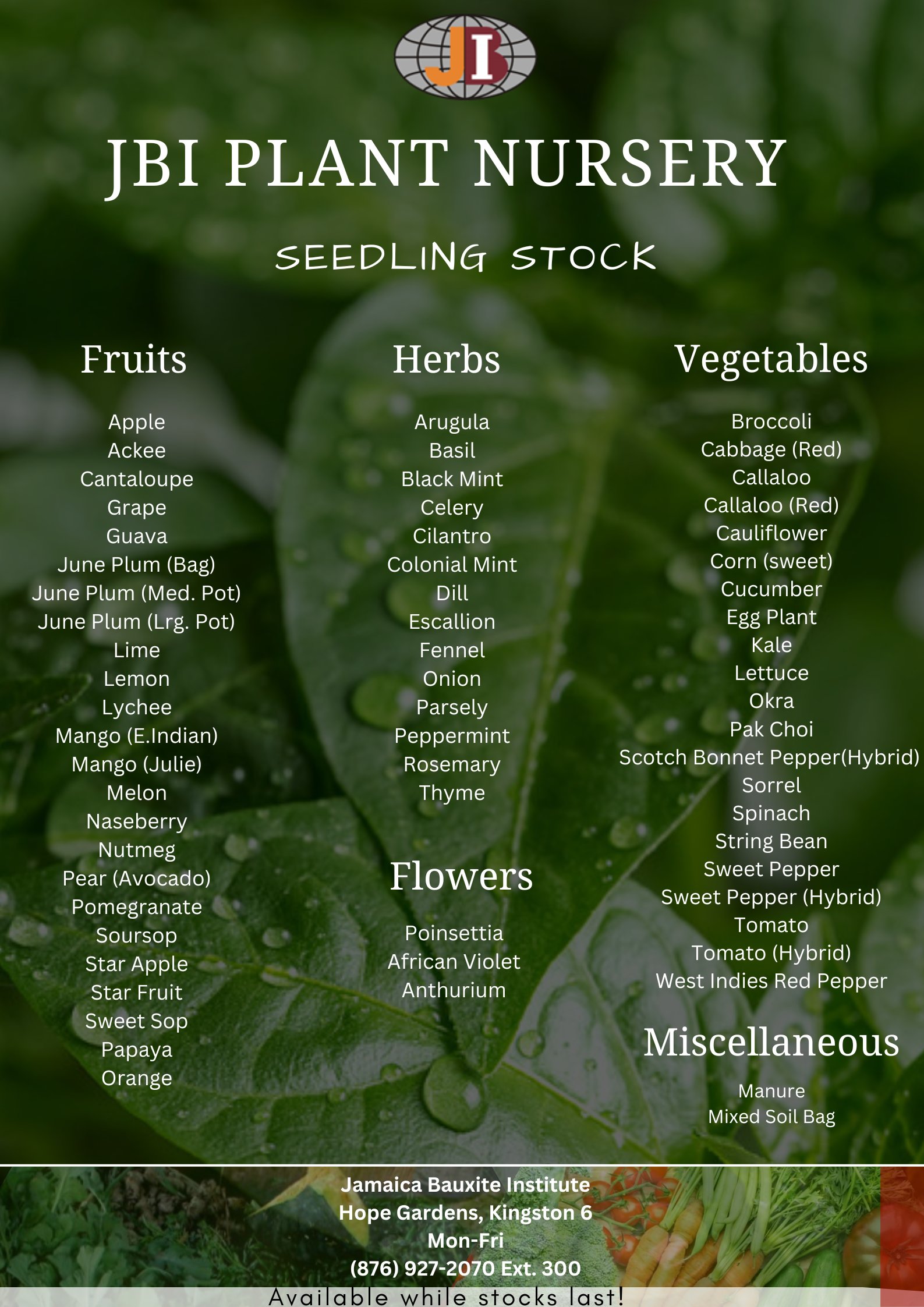 The Jamaica Bauxite Institute (the_jbi) / Twitter