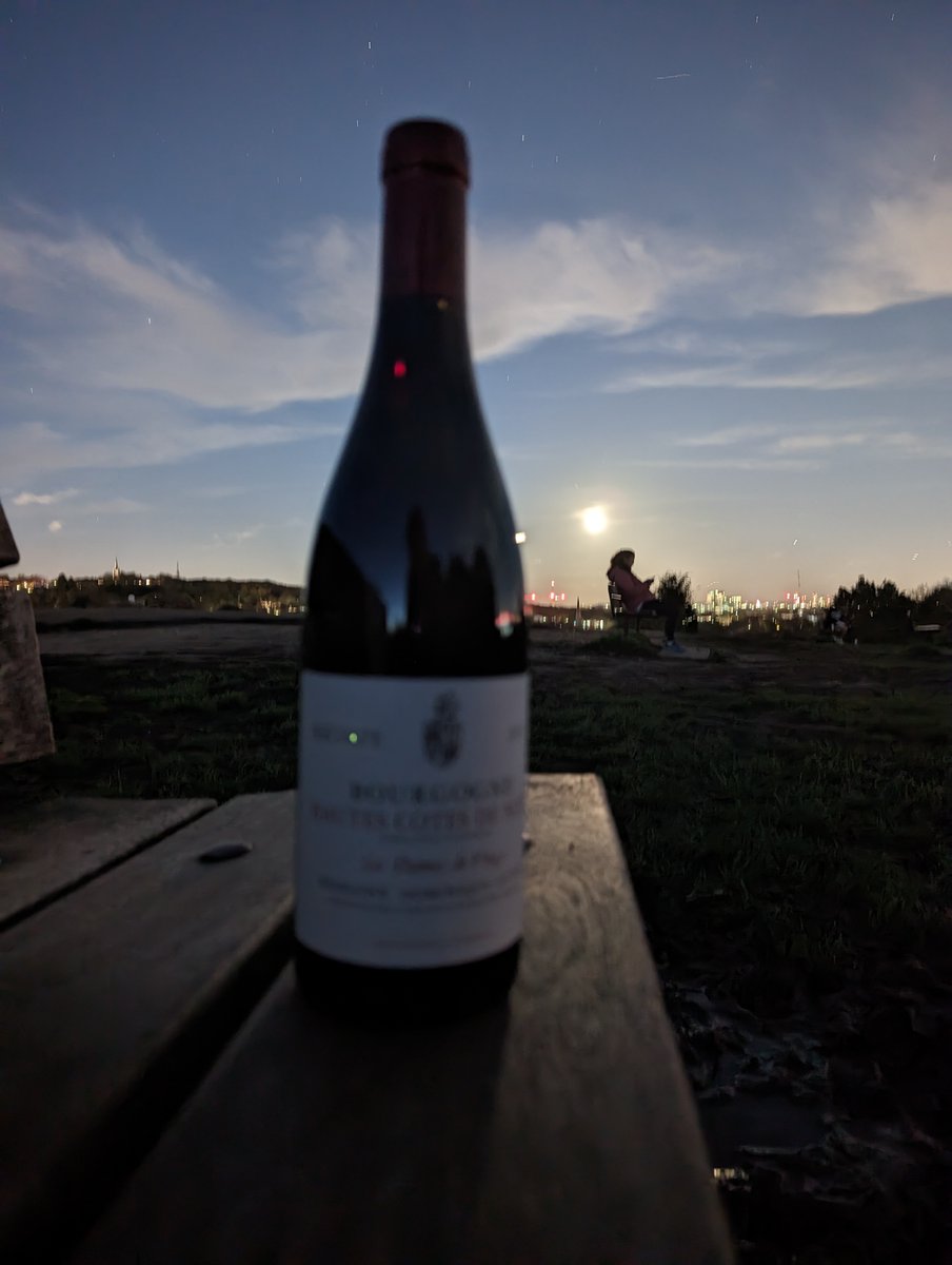 For a cheapo wine I thought Dominique Guyon's Hautes Cotes de Nuits "Les Dames de Vergy" 2019 quite pleasant. Fresh and fruity, slightly plummy p'raps, nice concentration then pivoting seamlessly to a fine but slightly hot tannic finish. Lovely moon tonight.