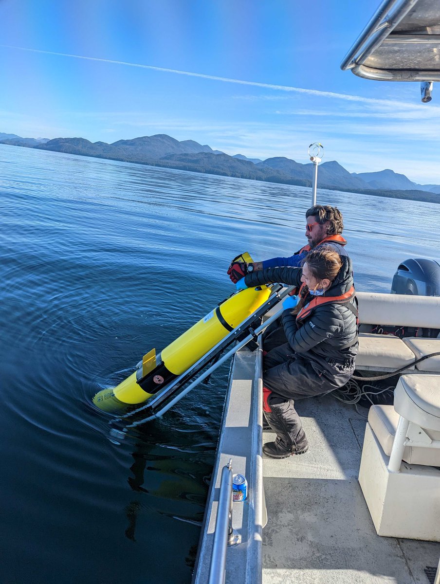 cproof_uvic's tweet photo. Marvin’s journey down the coast of Haida Gwaii (more at https://t.co/hMflJCkmuT) is being discussed as part of #MPANetwork planning for BC’s Pacific North Coast in today’s #CSAS process. @DFO_Pacific @CHN_HaidaNation @ParksCanada @CFNGBI @UVicResearch https://t.co/263a73tkvL