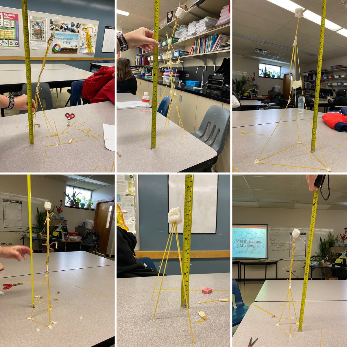 CHANDERPRABHA15's tweet photo. Team building activity at #GeneralWolfeSchool-Building the tallest spaghetti tower that can support a marshmallow #WinnipegSD @WinnipegSD #teambuilding #Steam https://t.co/YGHQM8Nj2P