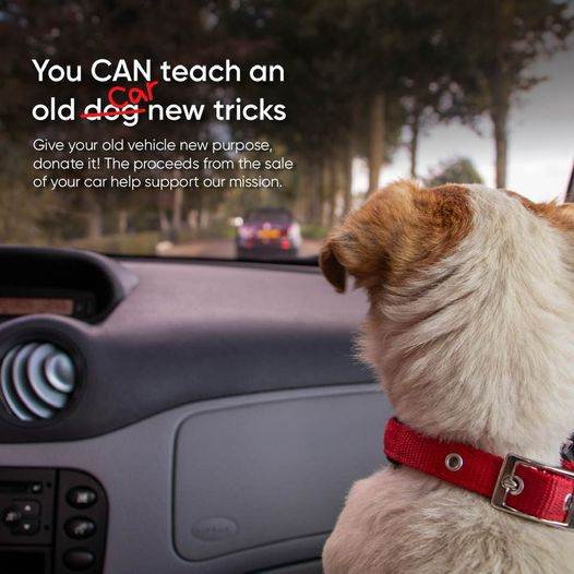 Tired of that old car hogging up space in the driveway? Donate it to Harvey County United Way to make a difference in the community around you. For more info call 855-500-7433 or go to bit.ly/3B88iyT