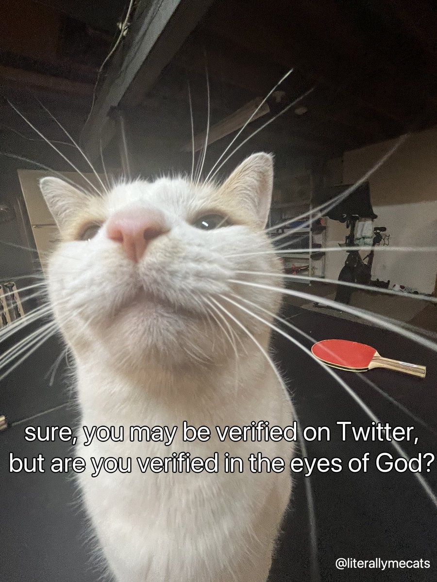 literallymecats's tweet photo. https://t.co/8p1scyLGX2