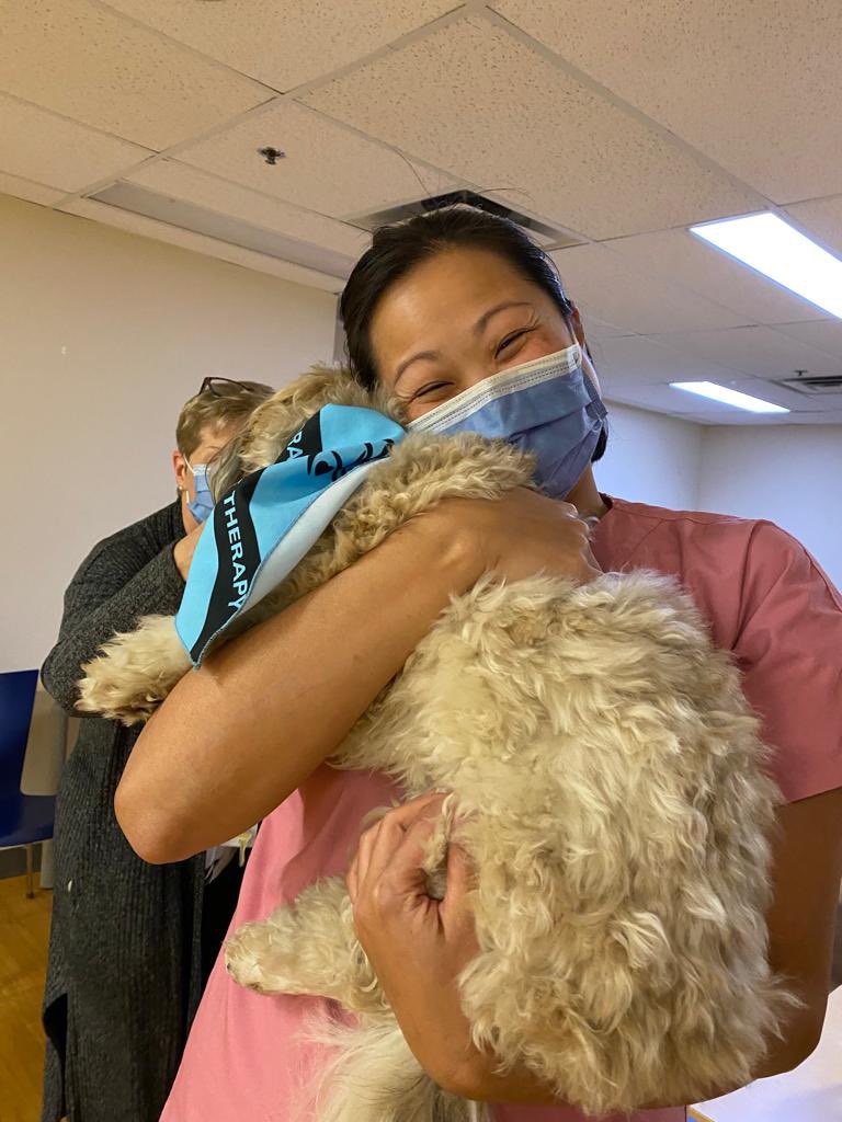 Kitty Chan tweet media