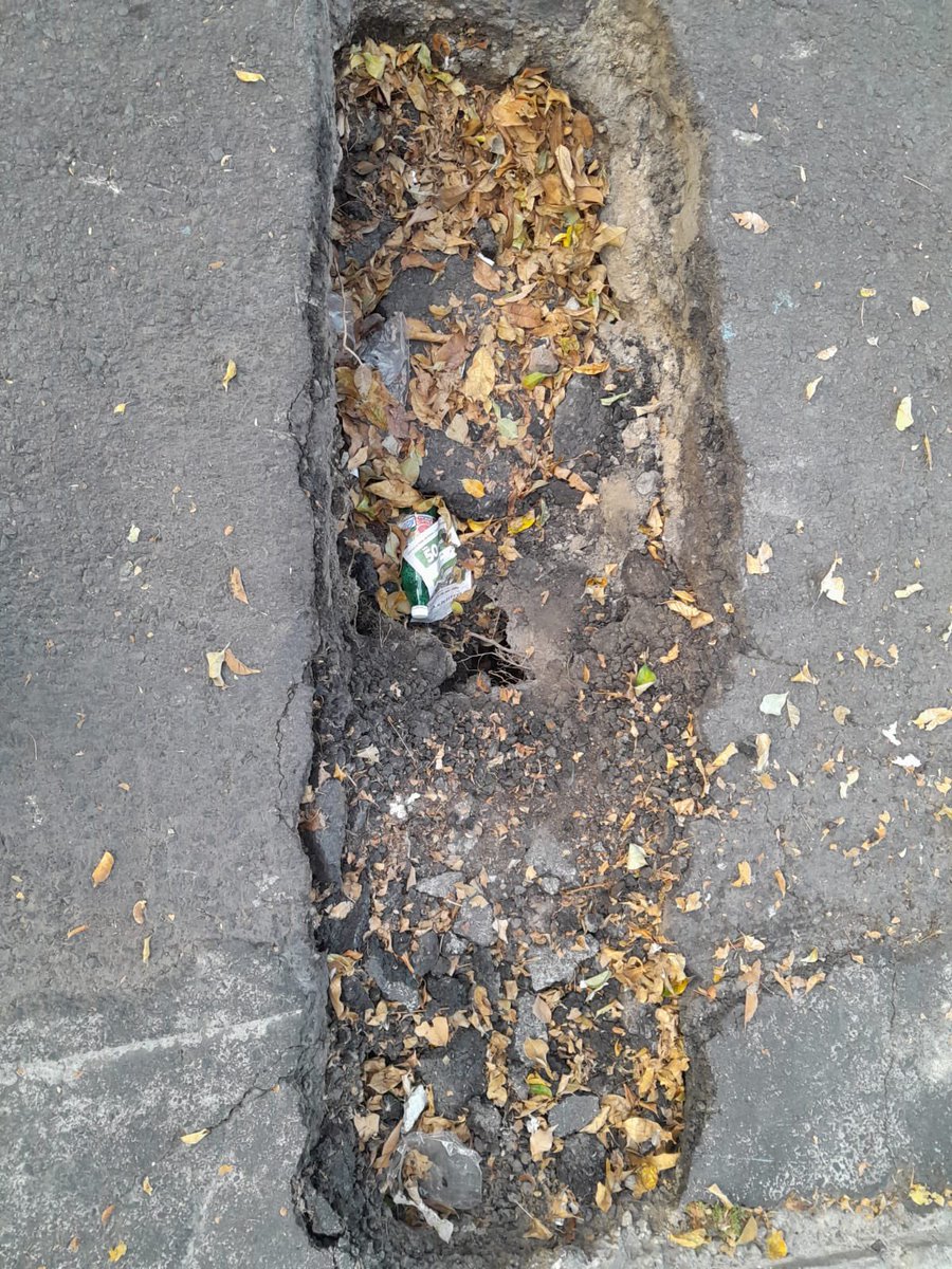 ross_em's tweet photo. @evelyn_parraA @A_VCarranza @GobCDMX @Claudiashein @julioc_moreno Tenemos un bache enorme, haciéndose socavón, a la entrada de una casa, en av. 14, 90, cp. 15000, urge reparación!! https://t.co/KT0lxnDphO