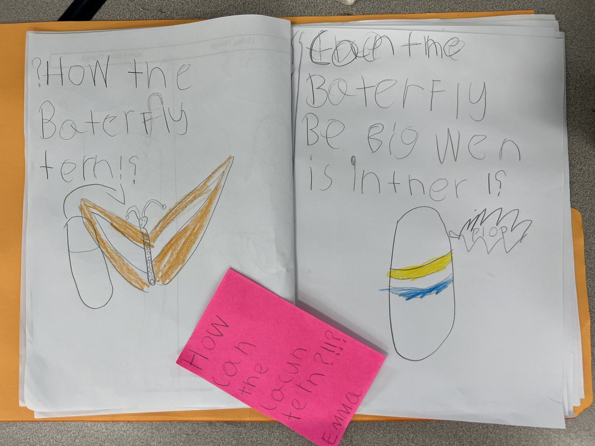 ELobsenz's tweet photo. Love witnessing students taking charge of their learning! One day after a provocation on life cycles, students are bringing in resources, and caterpillars they found in their yard at home! #inquiry #studentledlearning #takingaction https://t.co/jBZP7wOwai