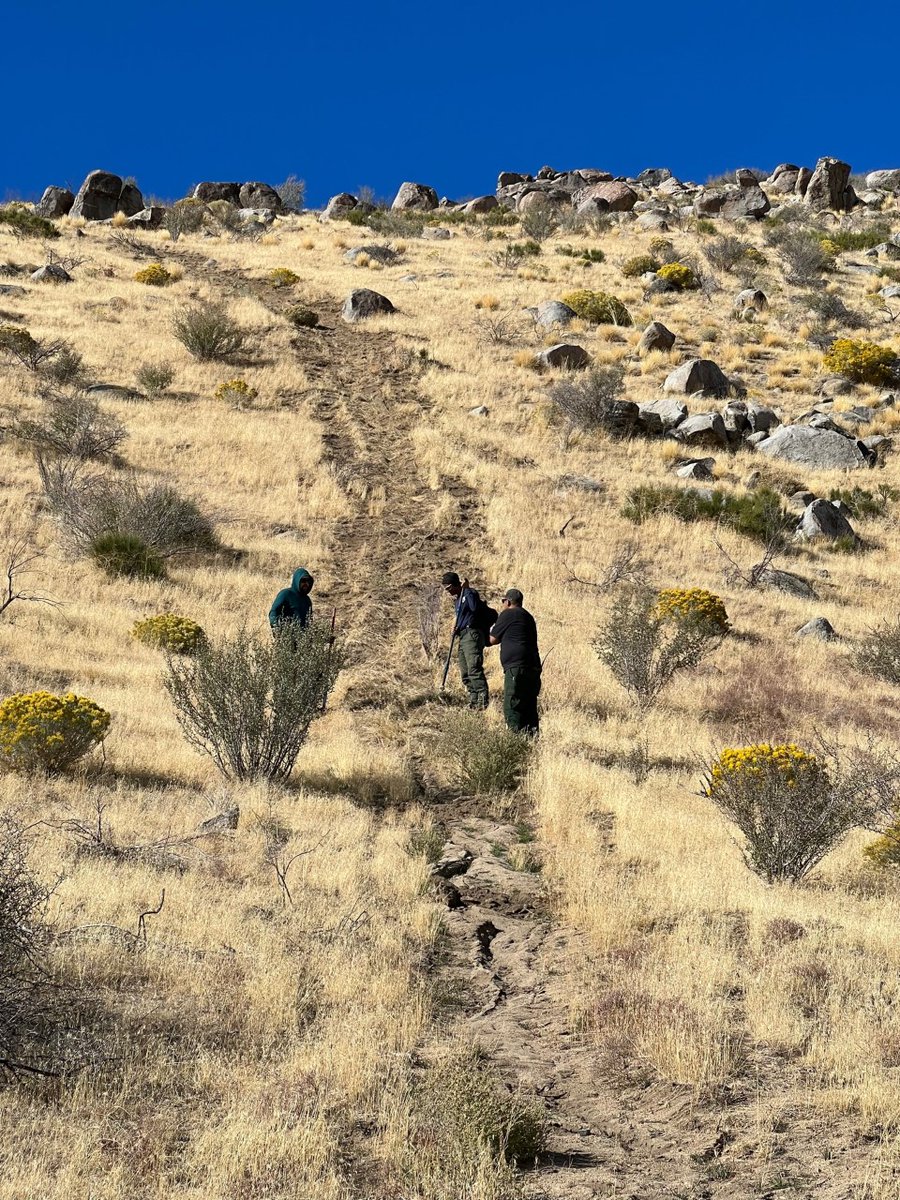 Bureau of Land Management California tweet media