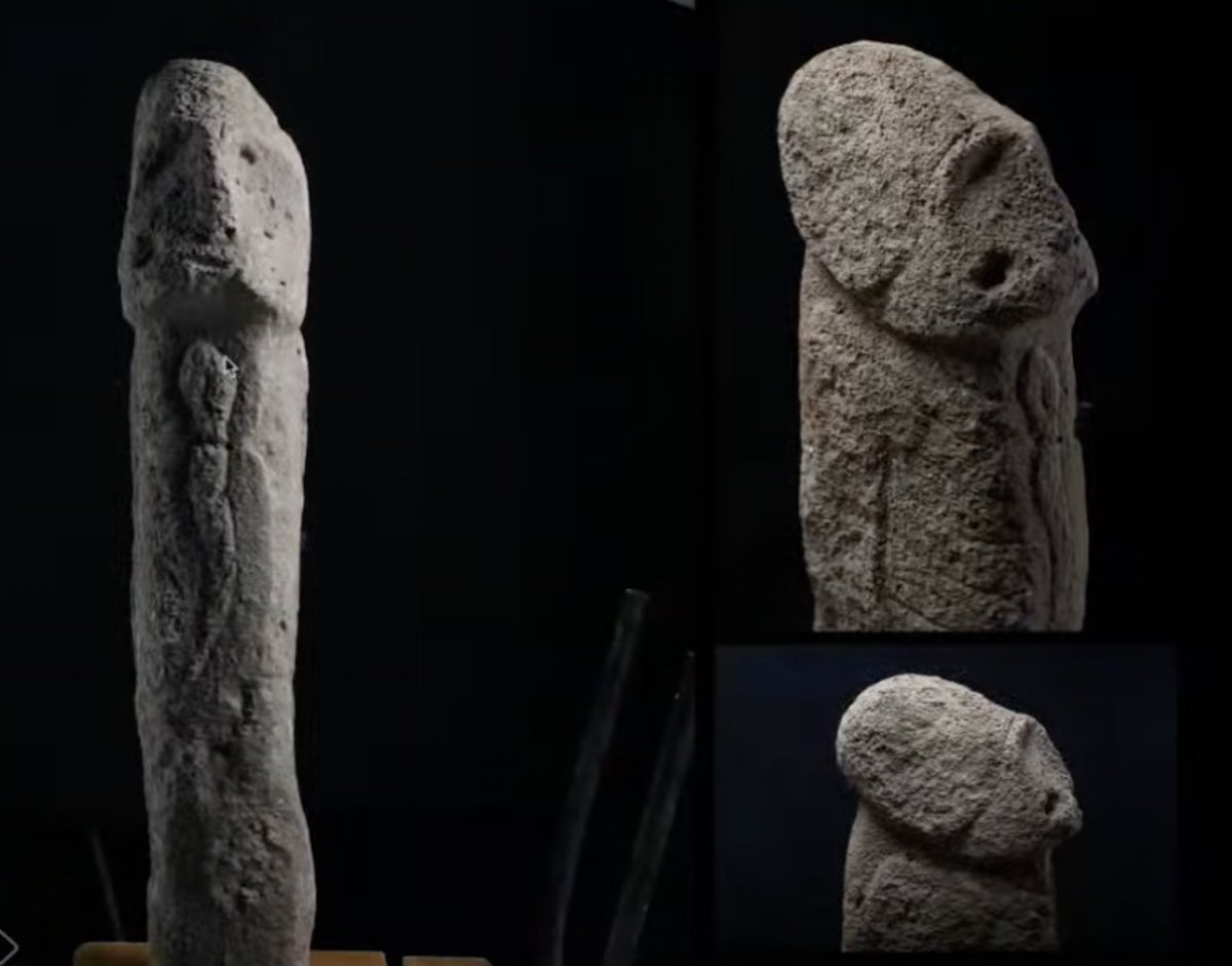 Matt Sibson tweet media